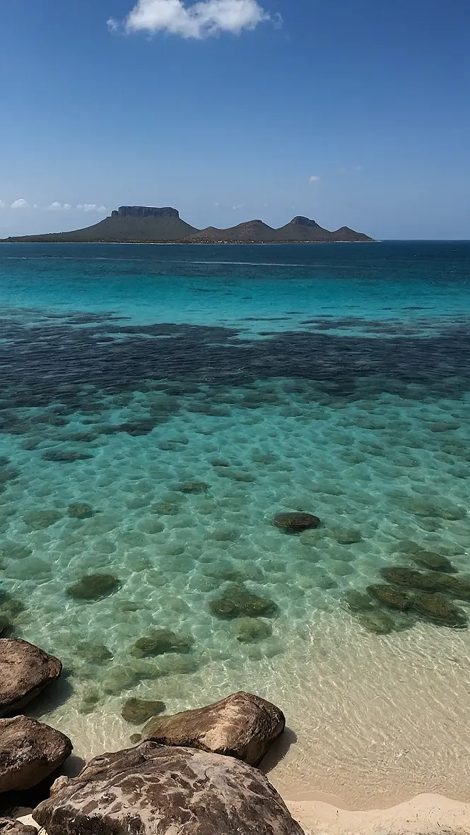 Where the Water Dances