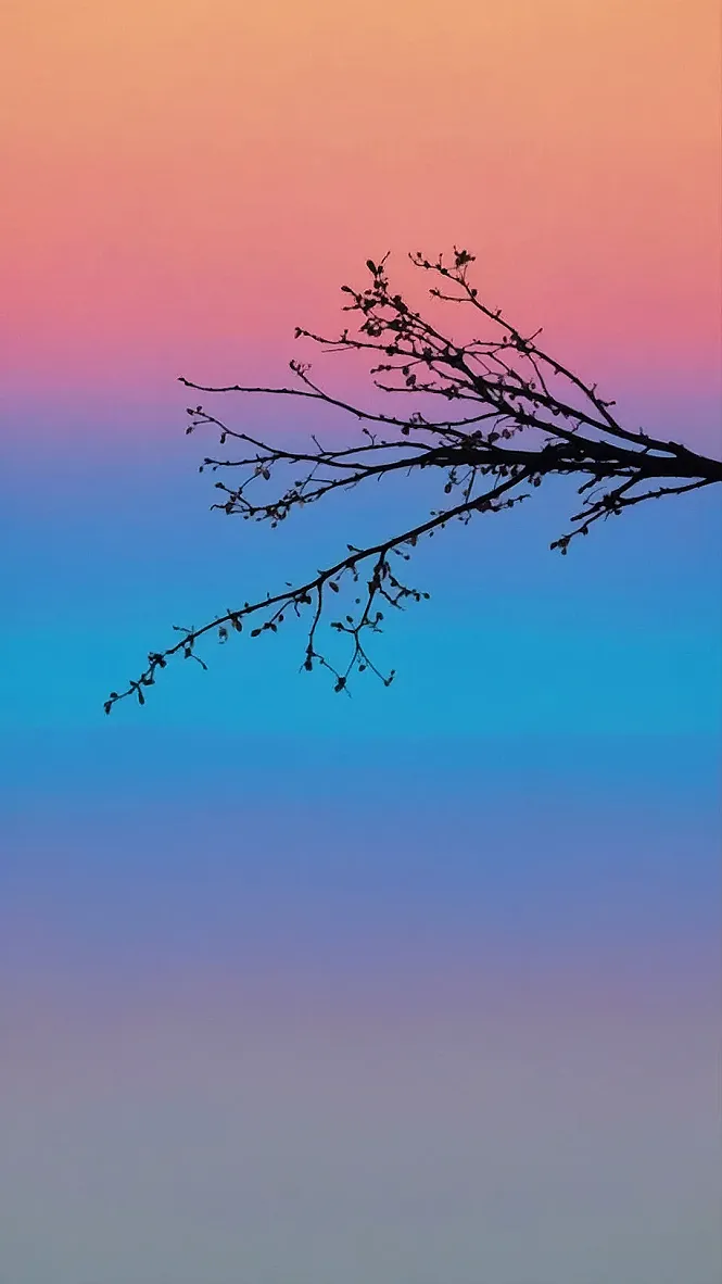 Aura Adorned Screens