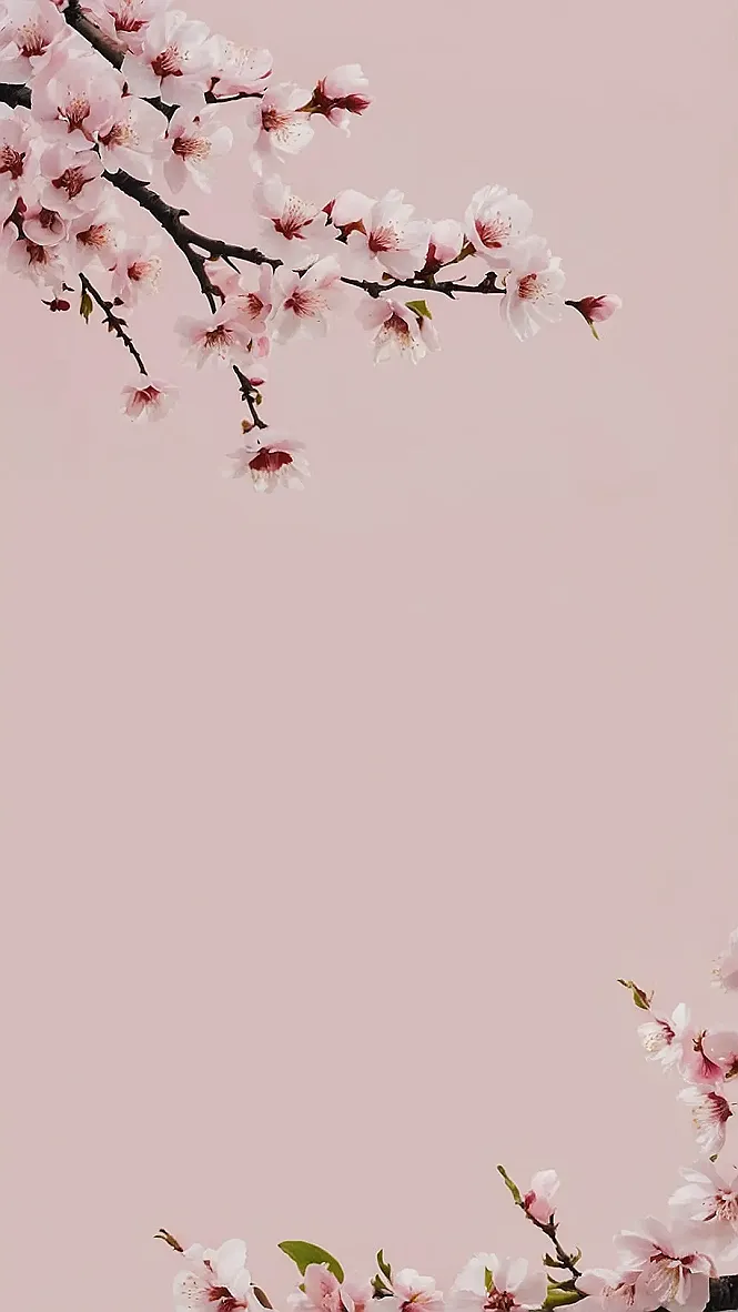 Sakura Dreamscape
