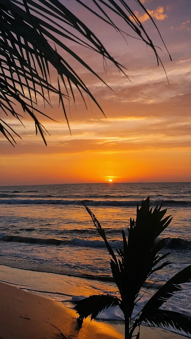 Sunset Serenity
