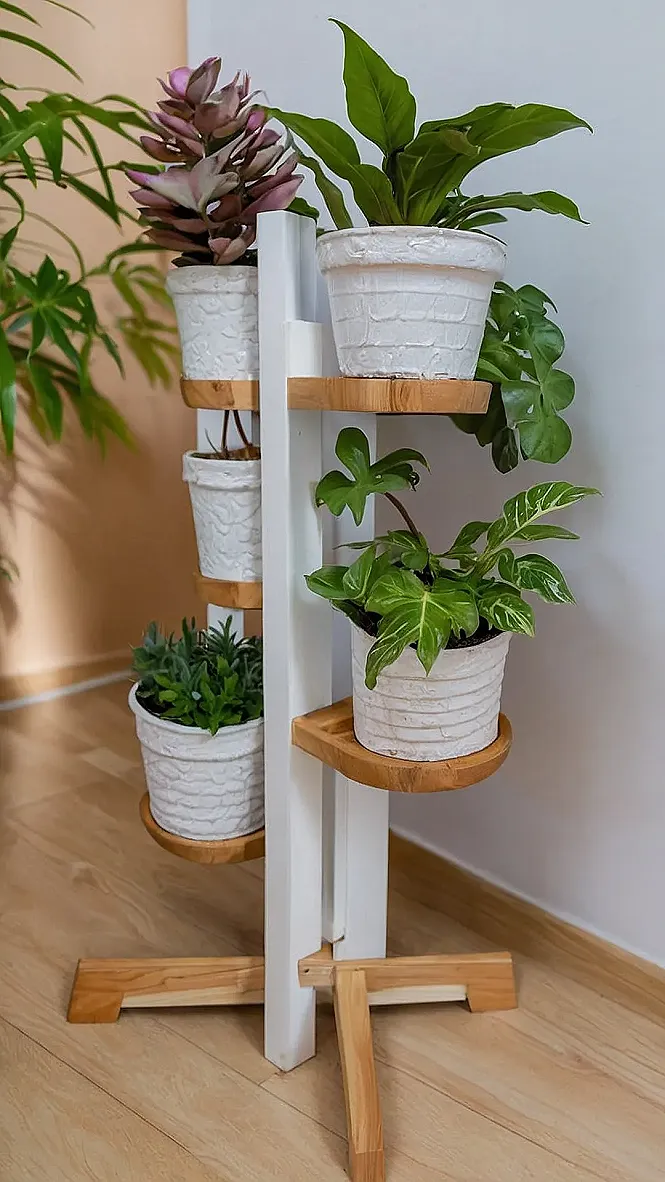 Urban Jungle Bloom
