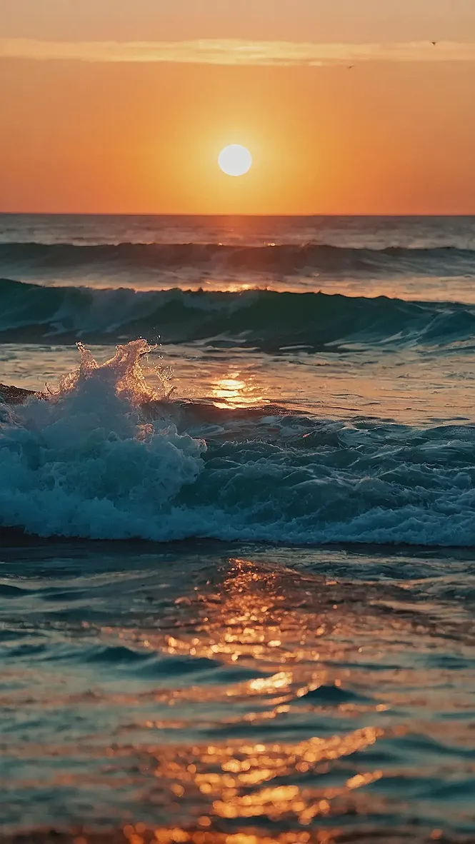 Serene Sydney Sunrise