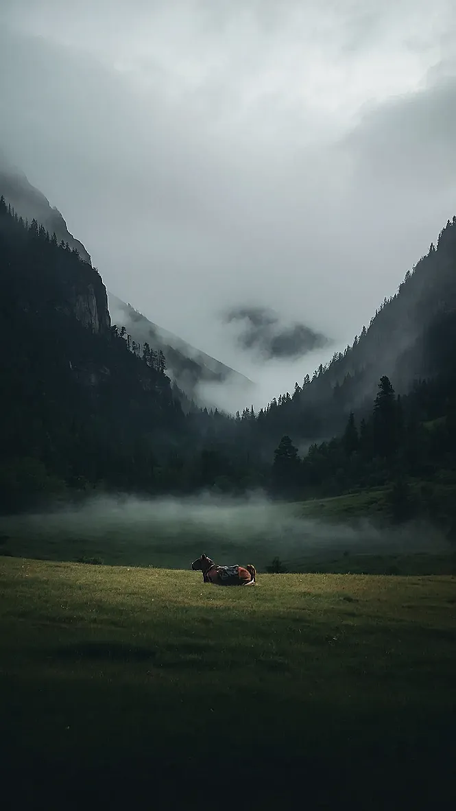 Mountain Majesty's Embrace