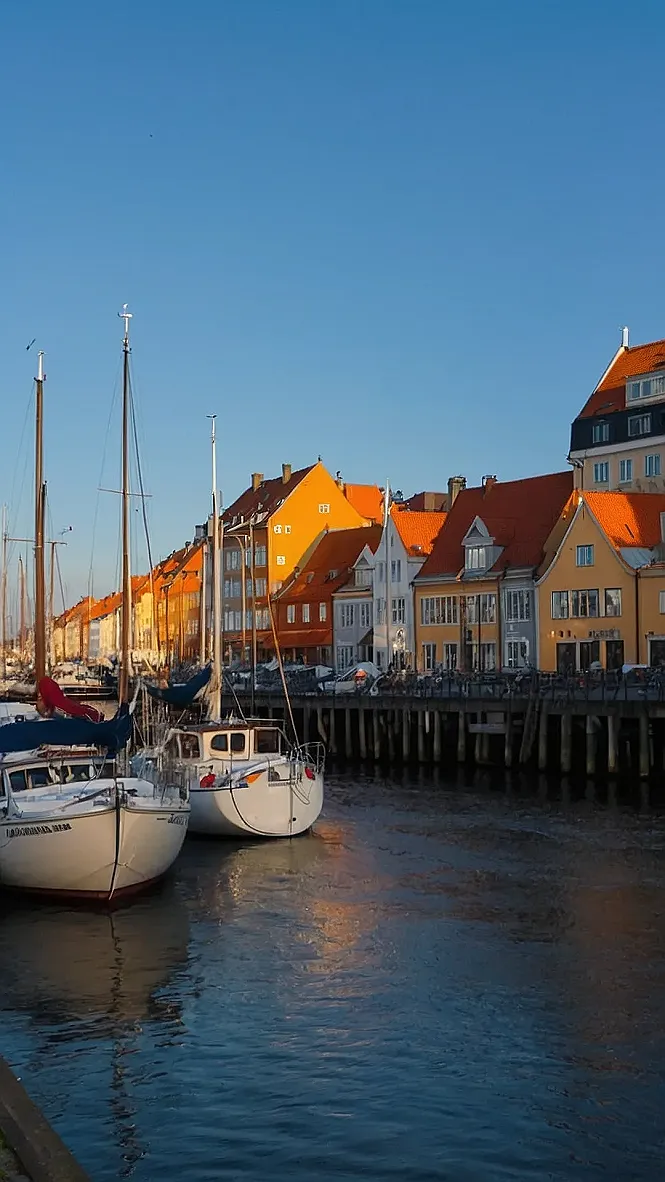 Scandi-Cool Immersion