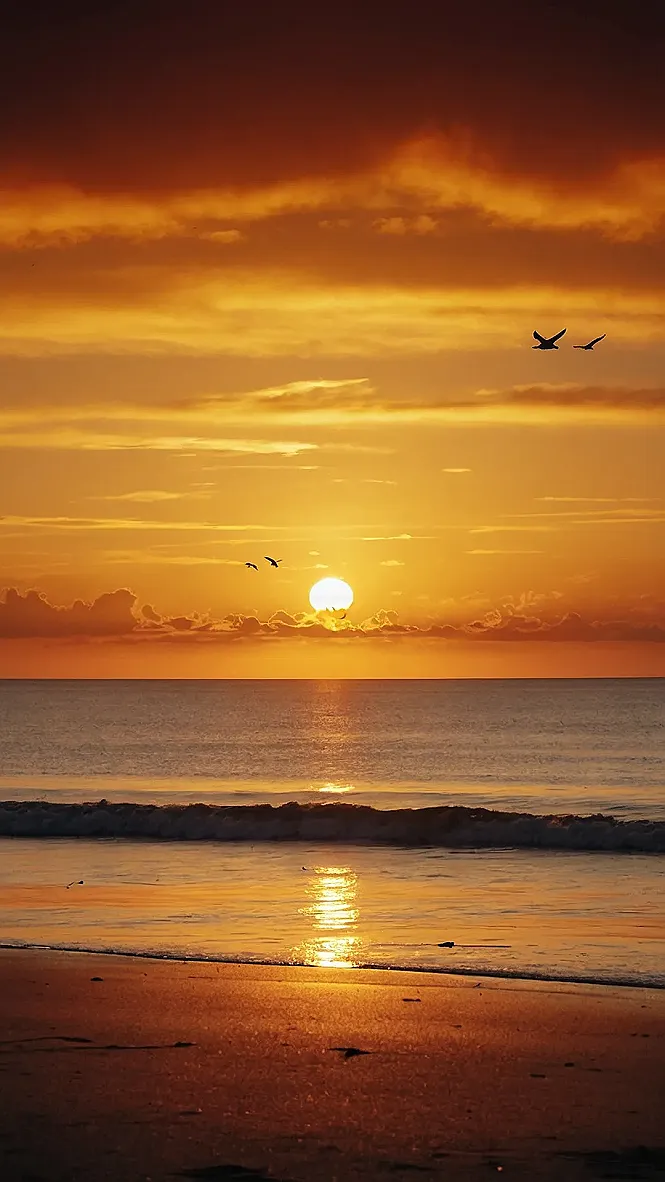 Golden River Sunset