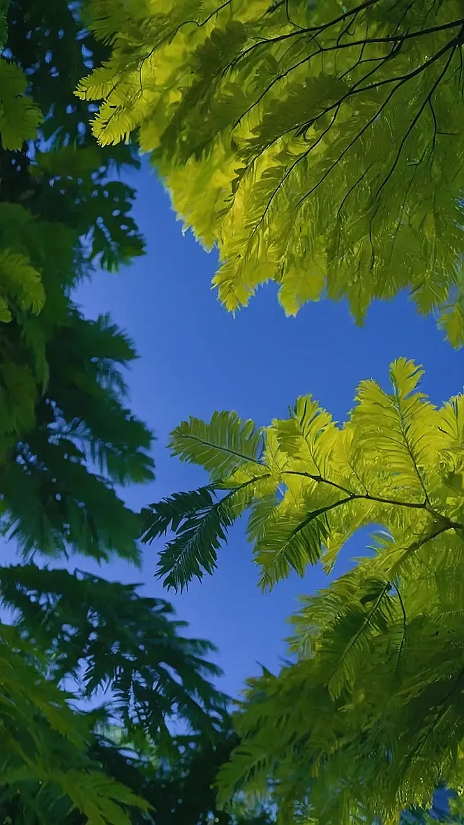 Green Thumb Mastery: