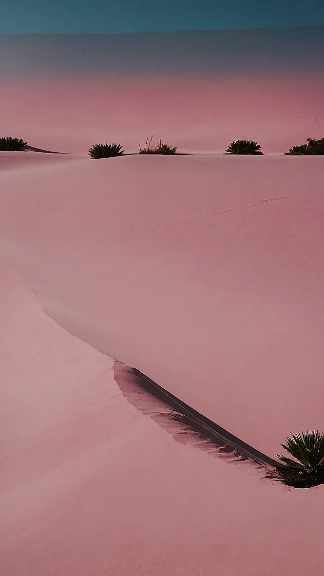 Pink Power Surge: