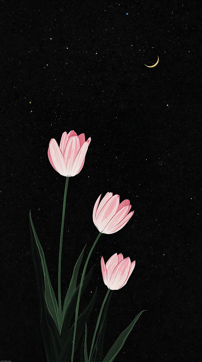 Cozy Pink Tulip Night: Aesthetic Android Lock Screen Wallpaper