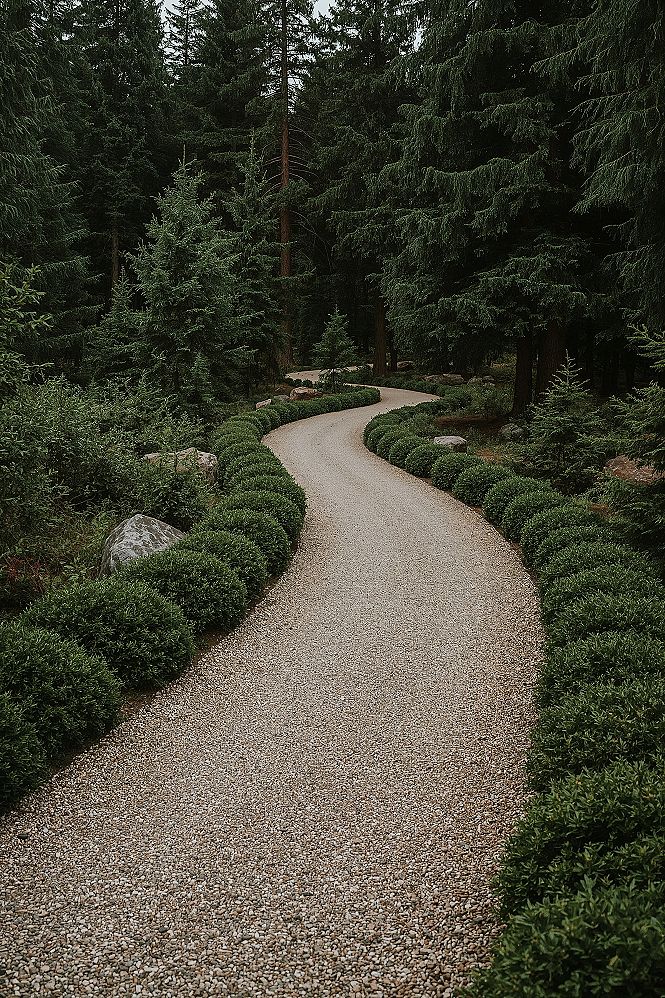 Serene Evergreen Forest Garden Design Ideas