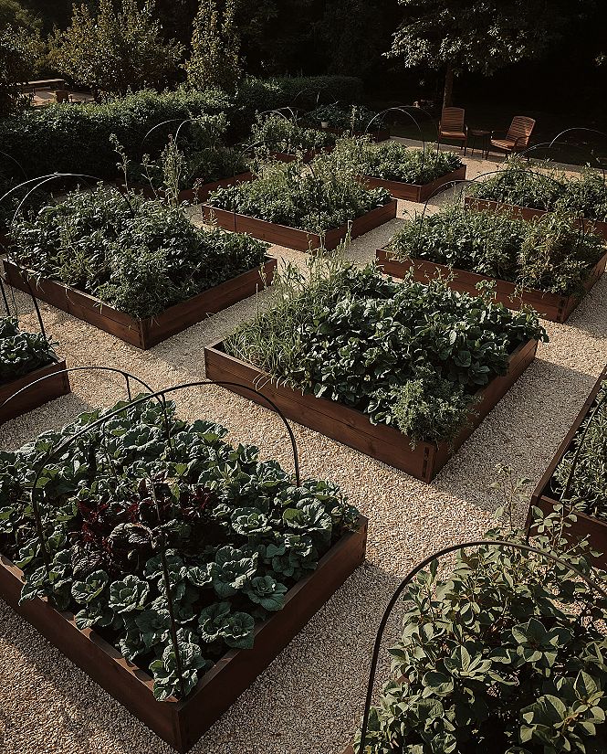 Elegant Potager Garden: Dream Backyard Vegetable Design