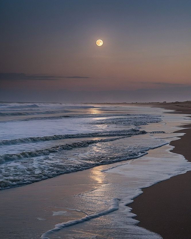 Why Night Moon Beach Wallpapers Work So Well on Phones