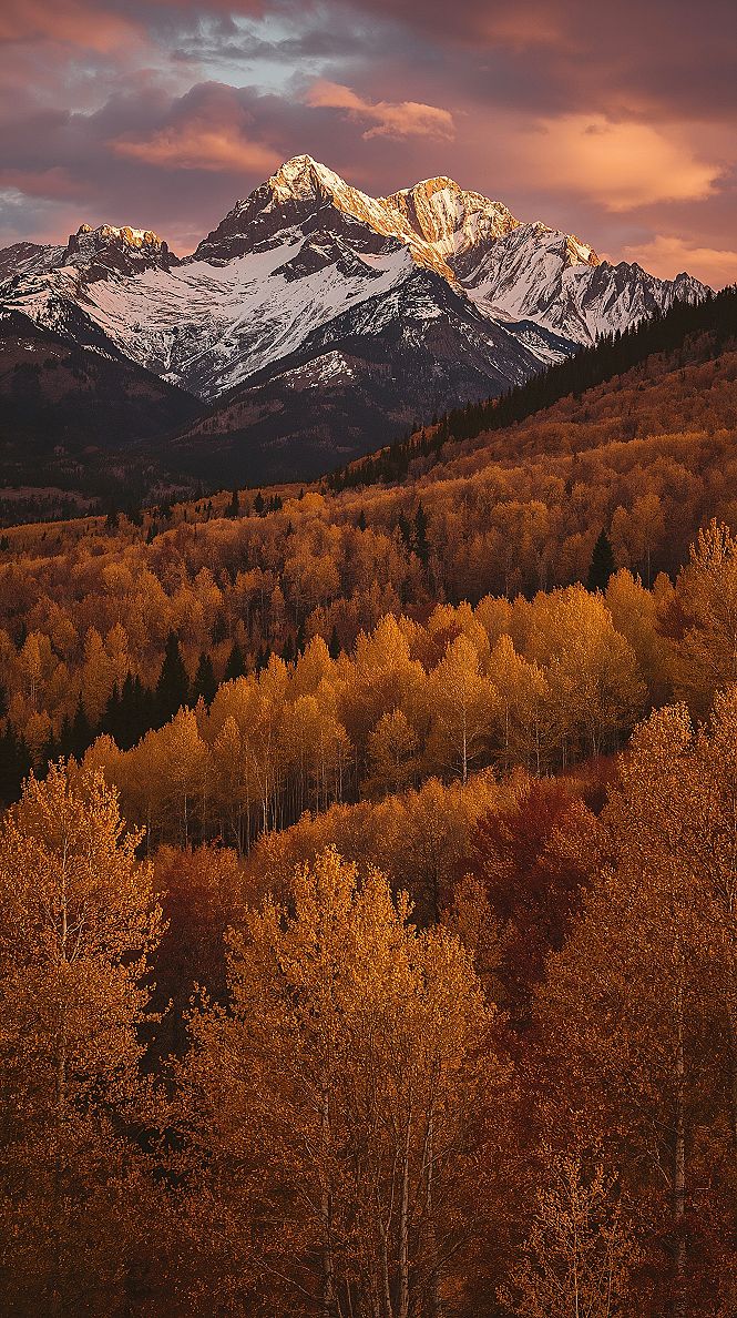 Autumn Mountains: Majestic Snow-Capped Peaks & Golden Forests