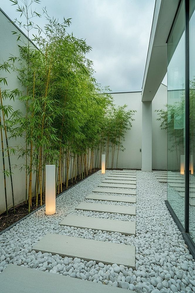 Side Yard Landscaping: Bamboo & Modern Walkway Elegance
