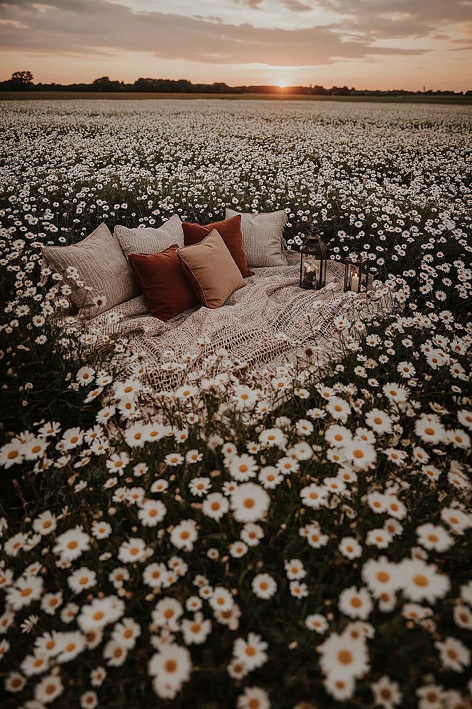 Dreamy Flower Field Picnic: Sunset Aesthetic Photography