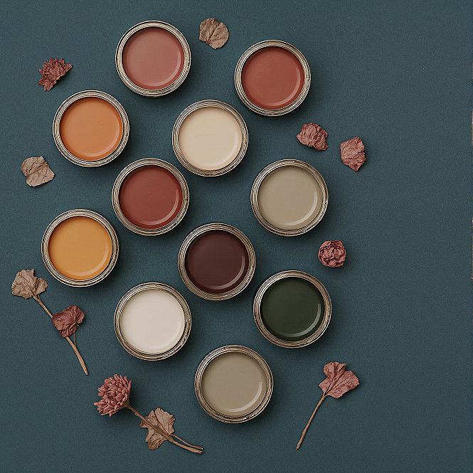 Warm Tone Color Palette for 2024 Home Design Trends
