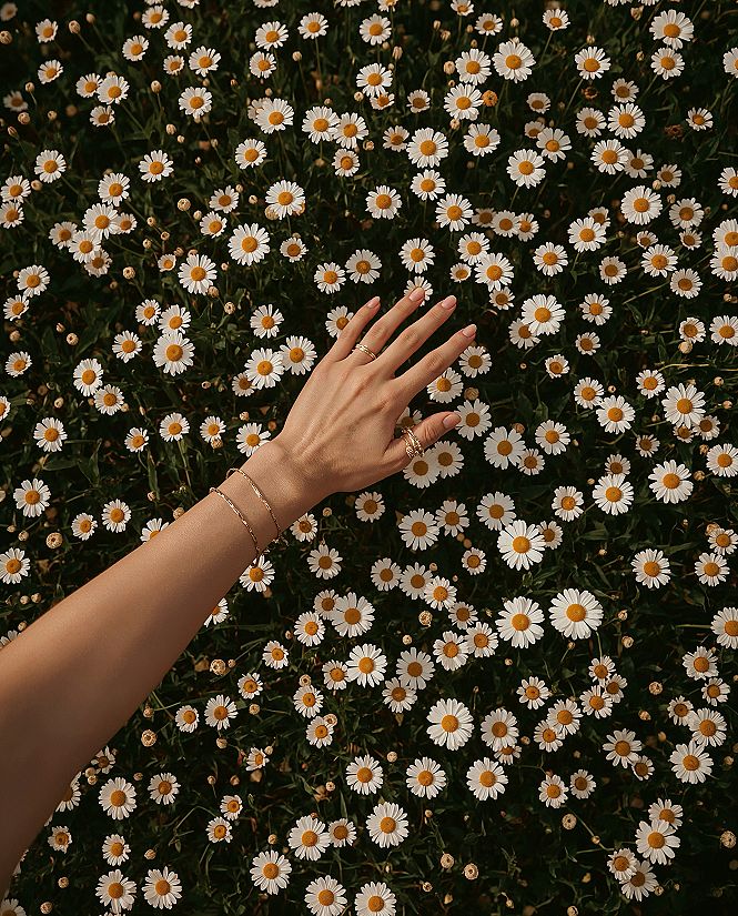 Idyllic Daisy Fields: Capture the Perfect Flower Aesthetic