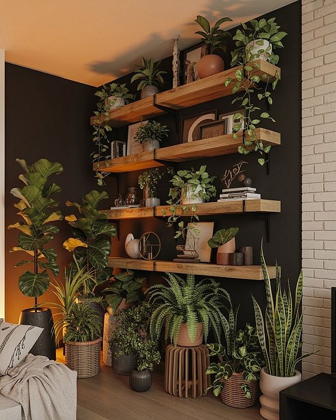 Dramatic Black Accent Wall: Ultimate Plant Decor Guide