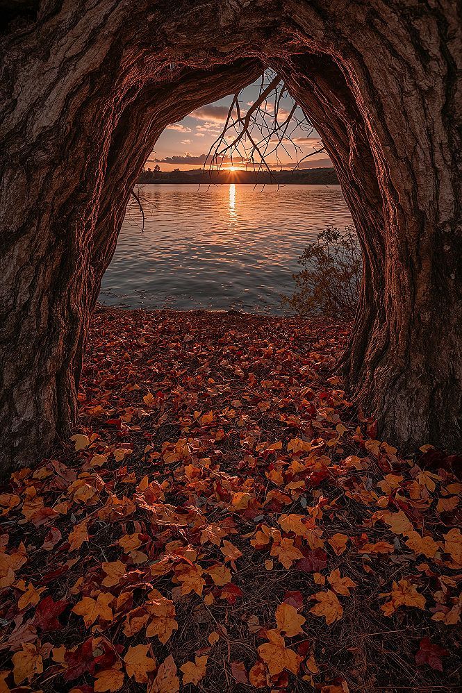 Autumn Lake Sunset: Fantasy Landscape & Scenery Wallpaper