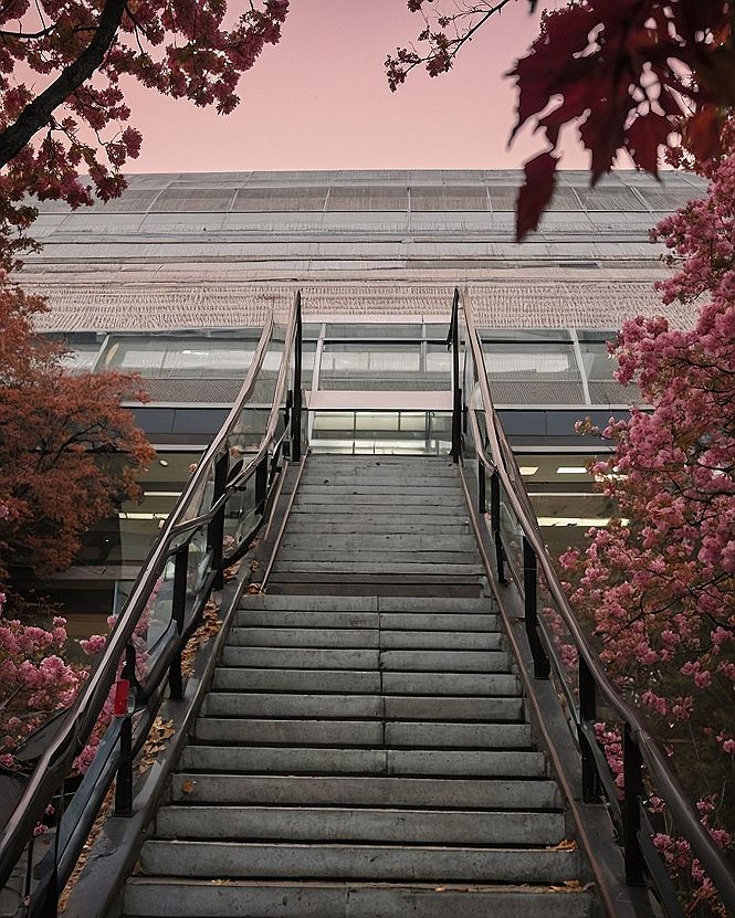 Adding Urban Floral Architecture Wallpapers to Your Phone