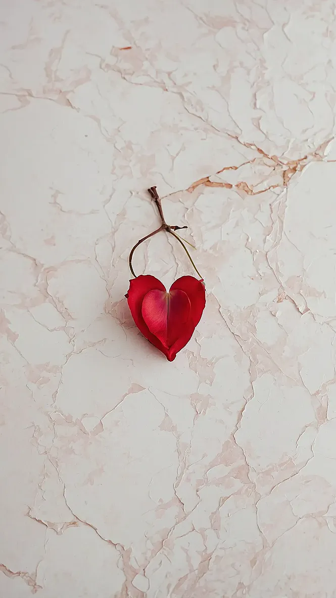 Floral Fascination Display