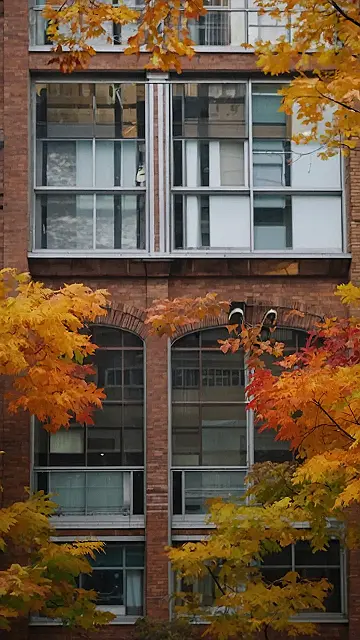 Urban Autumn: