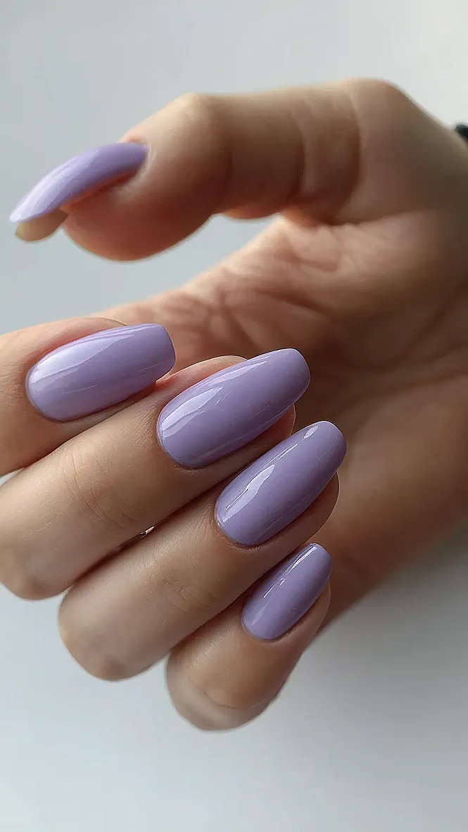 Lavender Ready