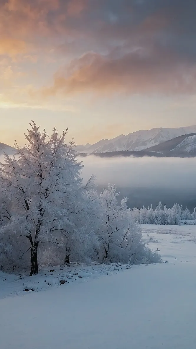 Winter Wonderland: A Bench with a View
