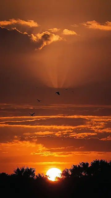 Sun-Kissed City Stroll