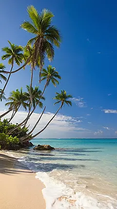 Easy Breezy Paradise: