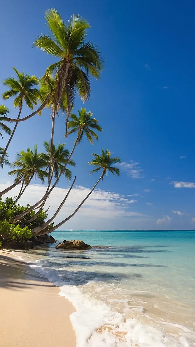 Easy Breezy Paradise: