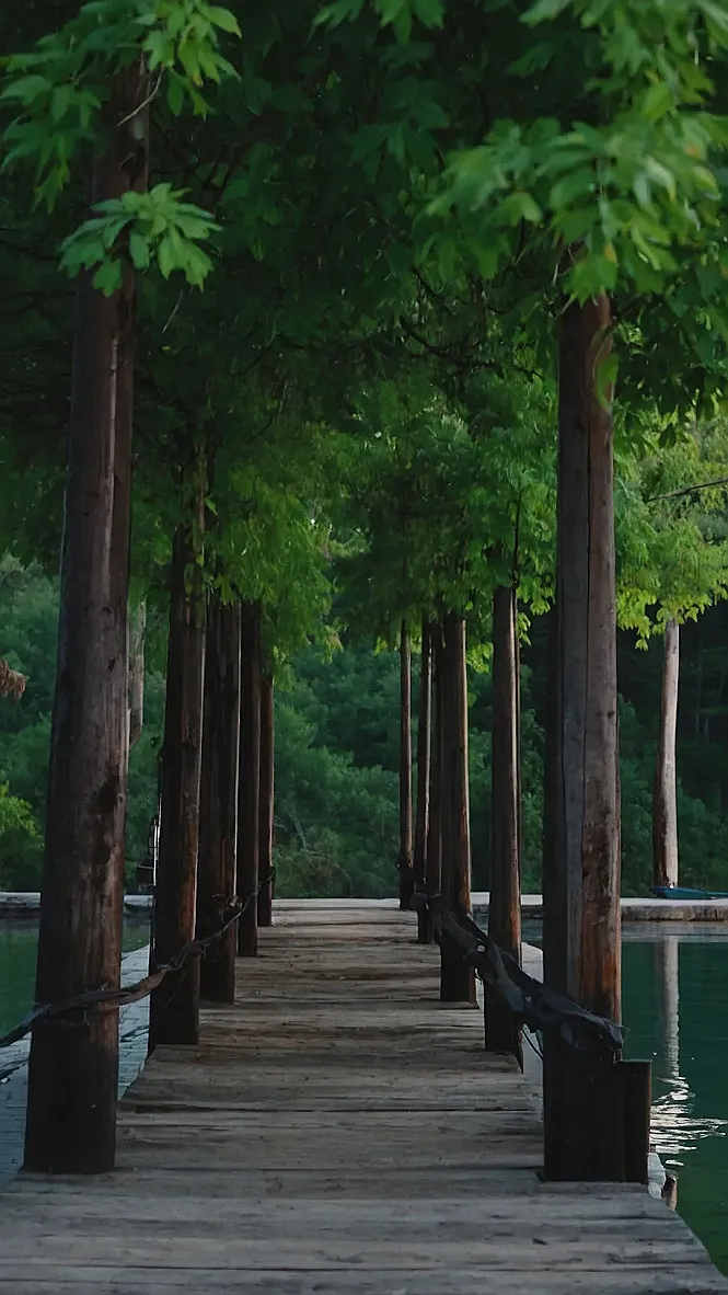 Wilderness Sanctuary: