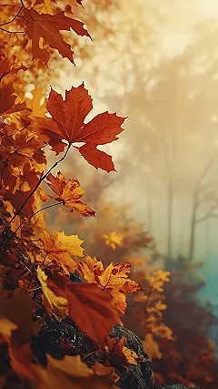 Autumn’s Cozy Corner: