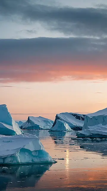 Adventures in the White North