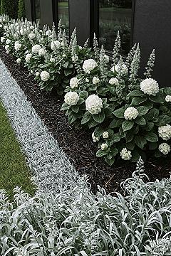 Silver & White Modern Front Yard Garden Design