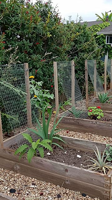 Adding Wire Trellises To Wooden Raised Beds