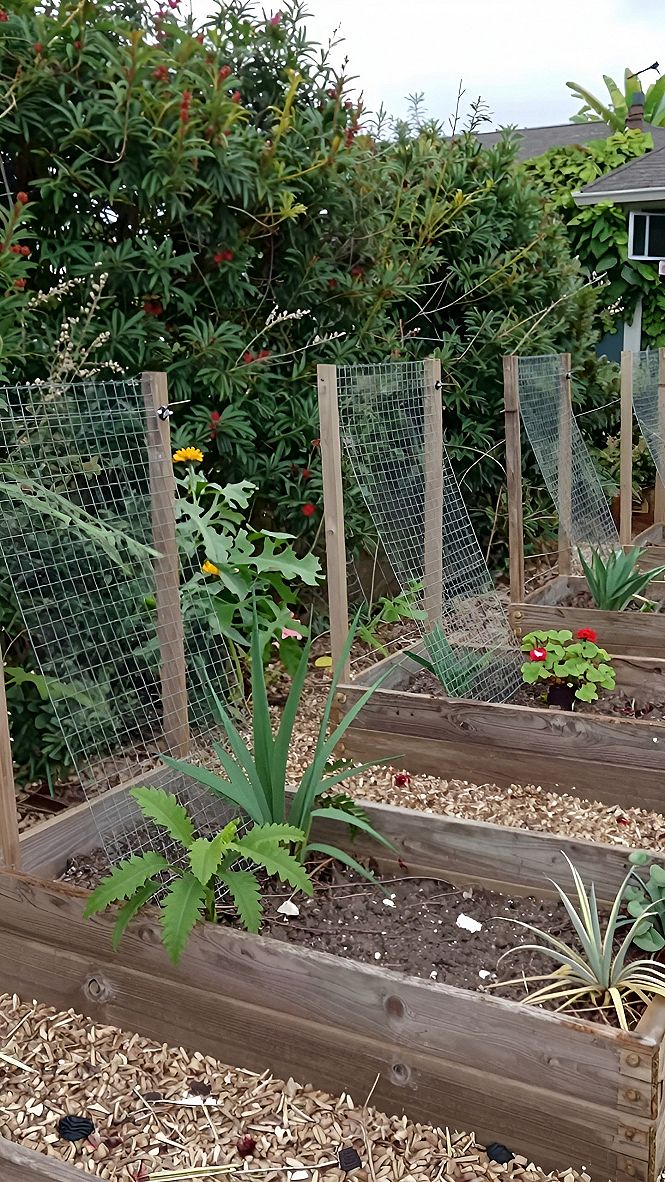 Adding Wire Trellises To Wooden Raised Beds