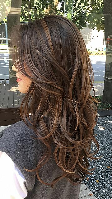Subtle Honey Highlights on Warm Brown Hair