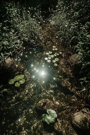 Whimsical Pond for Romantic Garden Scenery