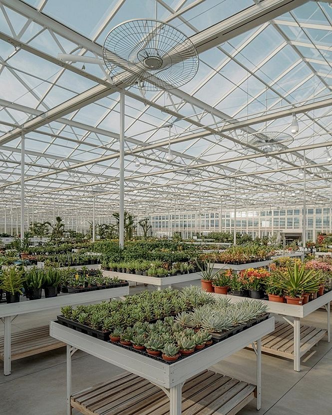 Sunroom Addition Ideas: Brighten Your Home with Garden Inspiration