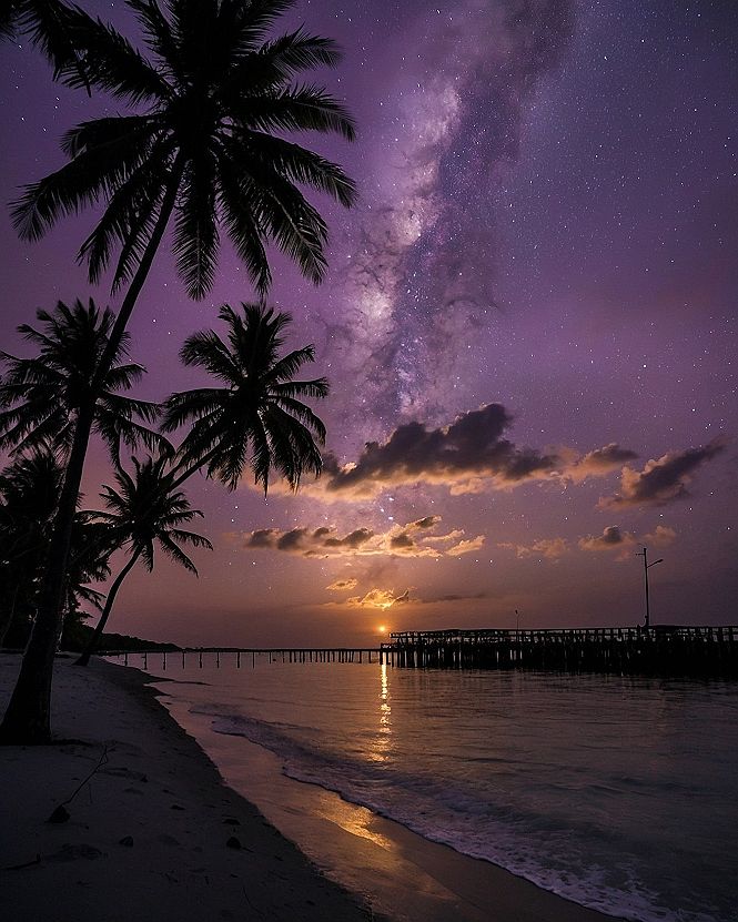 Selecting Palm Trees And Pier Silhouettes For Coastal Views