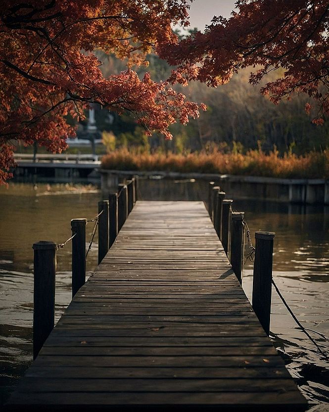 Setting Up Wooden Pier and Lake Spring Wallpapers