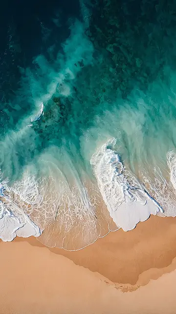 Pixel Paradise