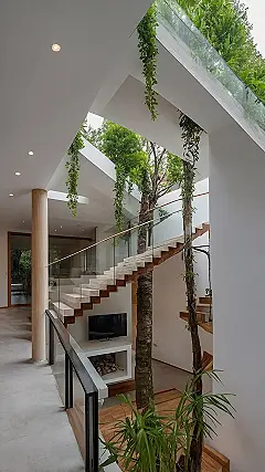 Verdant Vista