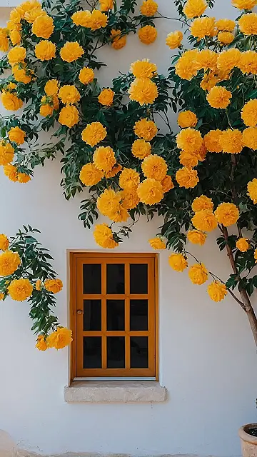 Botanical Serenity