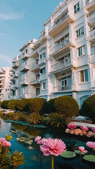 Aesthetically Speaking: