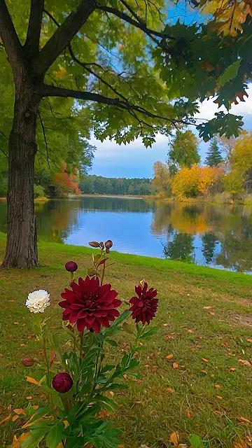 Lake’s Autumn Embrace