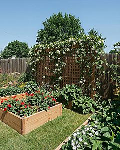 Lush Backyard Raised Garden: Your Ultimate Veggie Patch Inspo