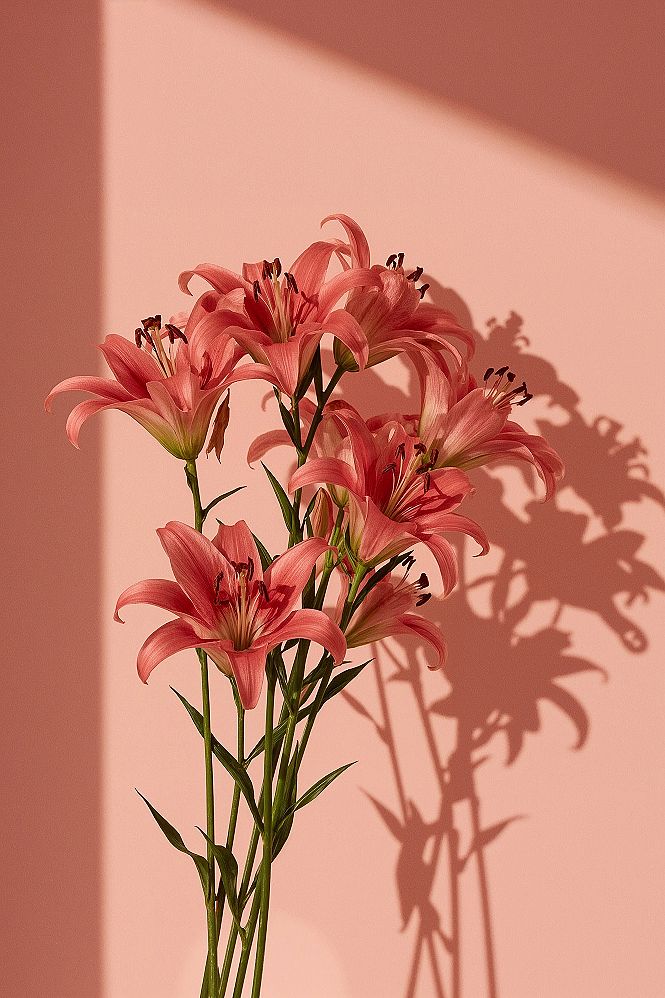 Pink Lilies: Cute Pastel Aesthetic for Ipad & Macbook Wallpaper