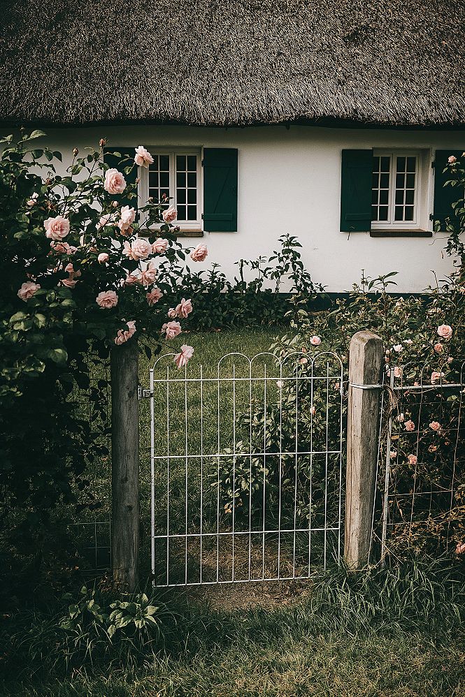 Charming Cottage Garden Fences: Affordable & Stylish Ideas