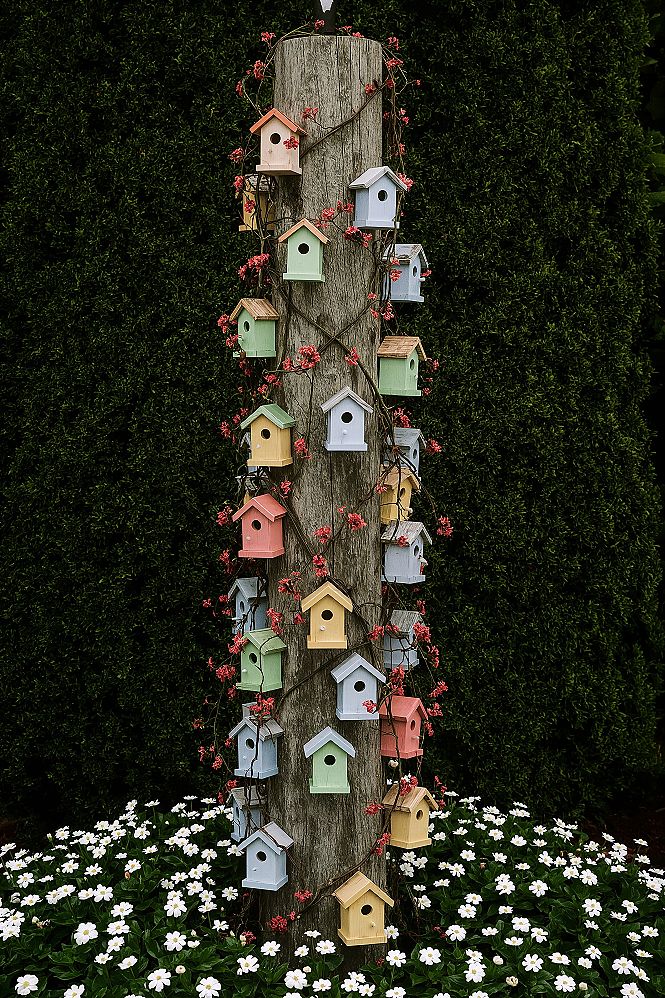 Colorful Birdhouses: Charming Garden Decorations for a Vibrant Yard